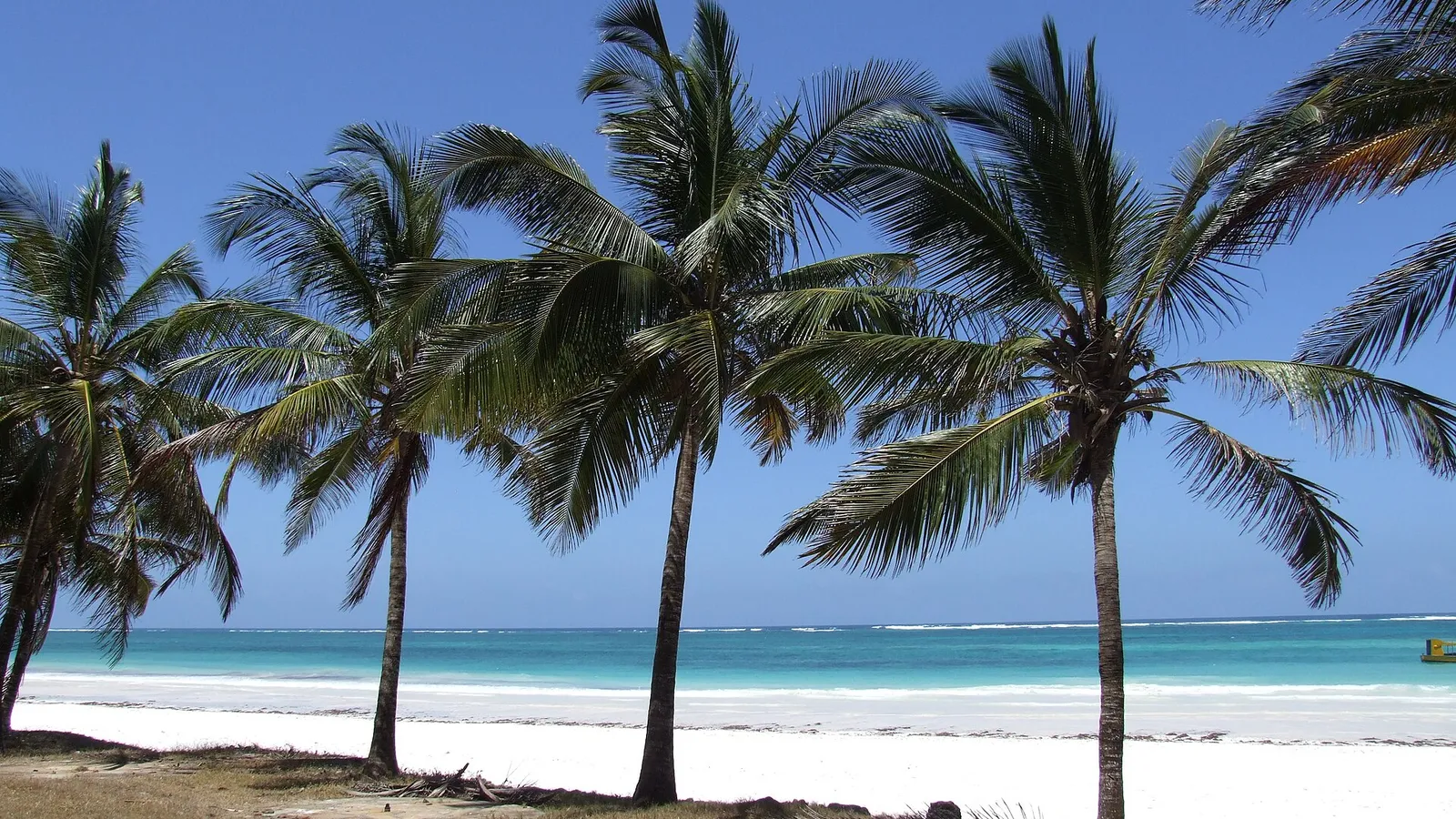 Palmeras sobre la arena blanca de Diani Beach, frente al mar turquesa del océano Índico