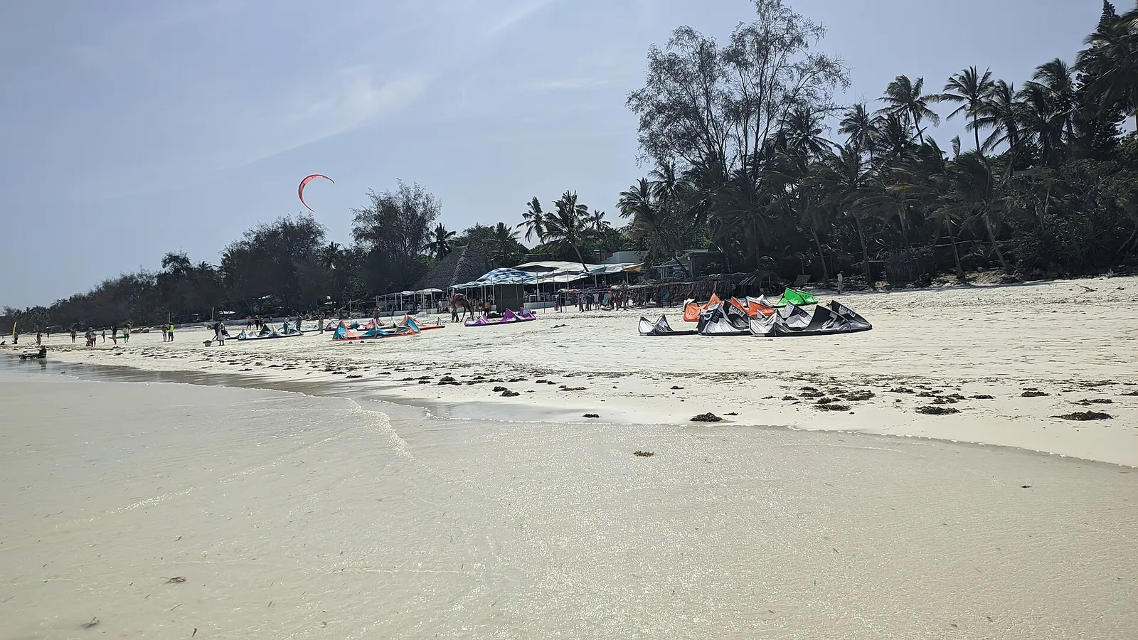 Diani Beach con kitesurfistas en el mar y palmeras en la orilla